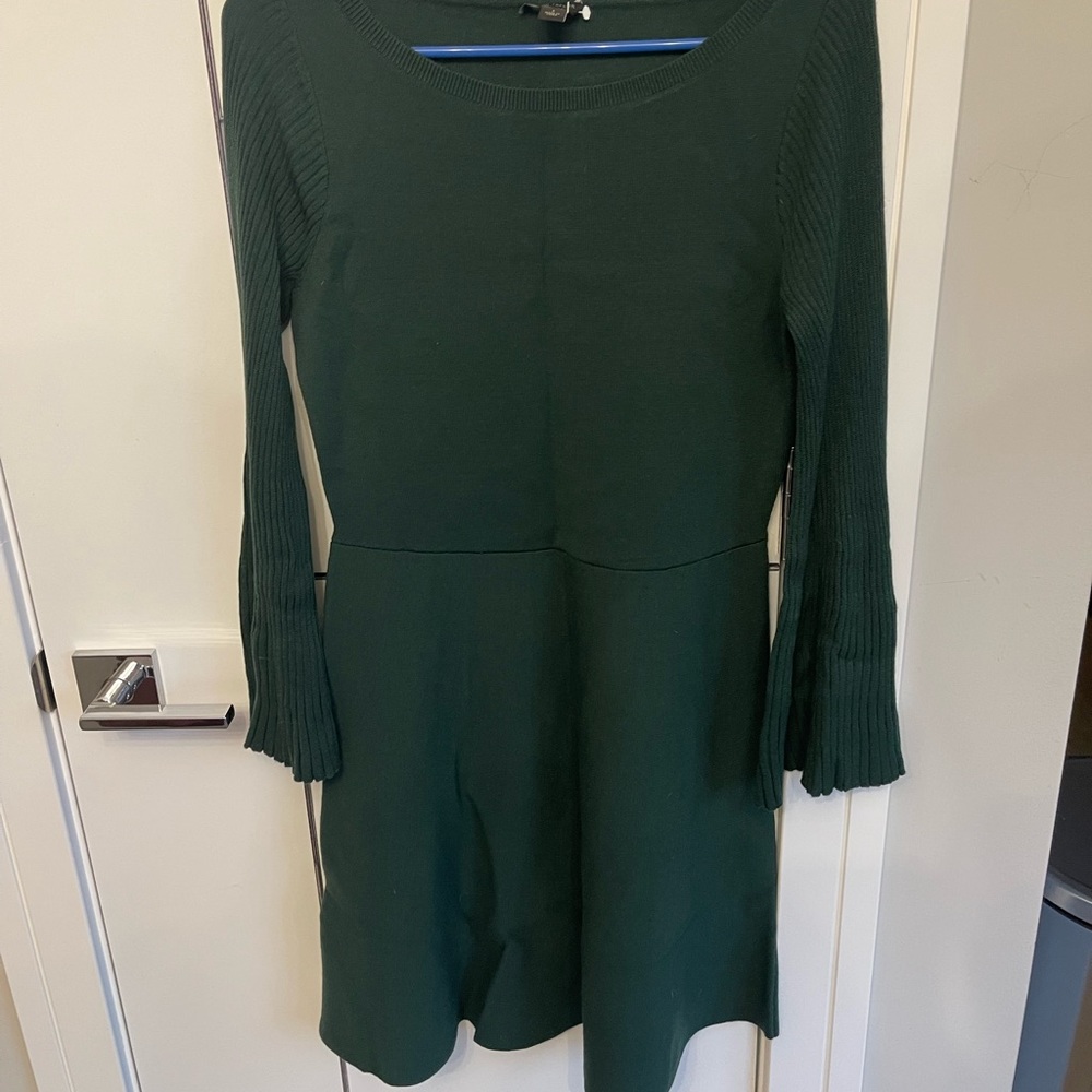 Ann Taylor Pleated sleeve Mini Dress